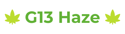 g13.png