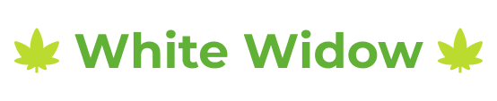 ww.png